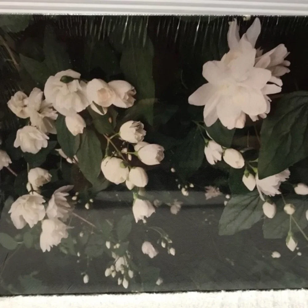NEW white roses Photograph 8x10in canvas wrap print of white roses
